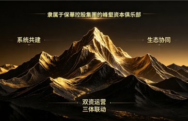 产业与资本还在博弈？峰壑金融已经开始"系统共建"了